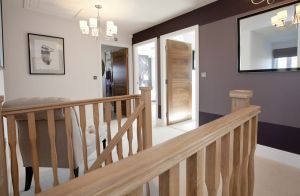 chestnut shadwell 44 sm.jpg